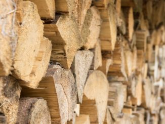 Großhandelspreise im Februar um fast 17 Prozent gestiegen