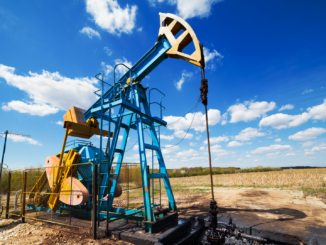 FDP dringt auf rasches Aus für russisches Öl