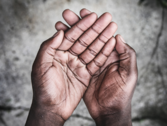 Landwirtschaftsminister Özdemir warnt vor Hungersnot in Ostafrika