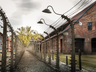 Zentrale Stelle ermittelt erstmals auch wegen NS-Kriegsgefangenenlagern