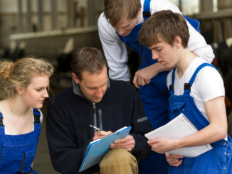 Knapp 40 Prozent aller Ausbildungsstellen laut IW-Studie unbesetzt