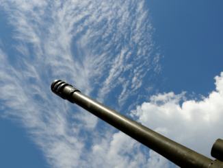 Regierung prüft Lieferung von Panzerhaubitzen an Ukraine