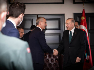 FDP-Außenexperte fordert Erdogan zu Ende von Blockade bei Nato-Erweiterung auf