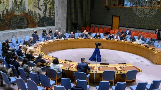 Sitzung des UN-Sicherheitsrat vom 6. Mai - Bild: UN Photo/Loey Felipe