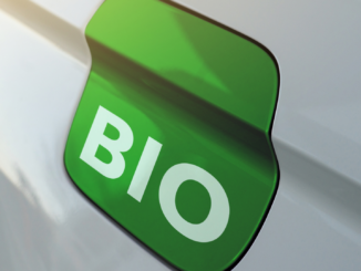 Entwicklungsministerin fordert Aus für Biokraftstoffe aus Lebensmitteln