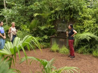 IBES 2023: Dschungelprüfung „Korrekt“: Djamila Rowe kämpft für die Vorspeisen