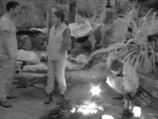 IBES 2023: Verwirrung im Camp: Lucas Cordalis drückt sich