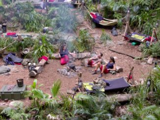 IBES 2023: Endlich wird im Dschungelcamp gelästert