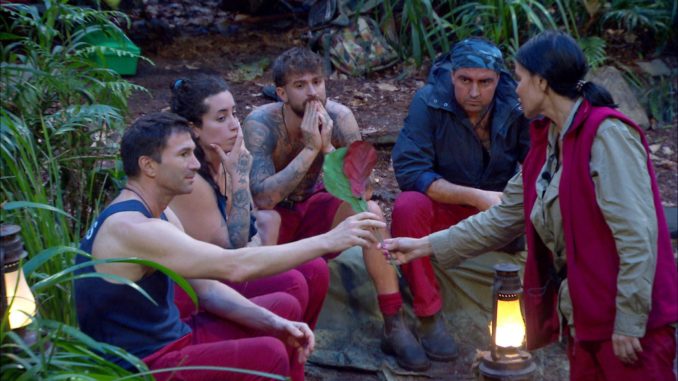 Ich bin ein Star - Holt mich hier raus! Die Stars am Lagerfeuer - Bild: RTL