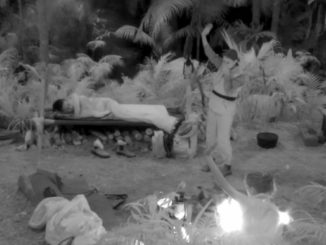 IBES 2023: Nacht der Spinnen im Dschungelcamp