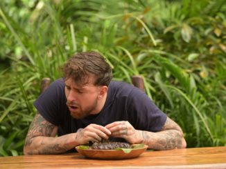 IBES 2023: Dschungelprüfung „Krass“: Gigi und das fiese Fünf-Gänge-Dschungel-Menü – drei Sterne!