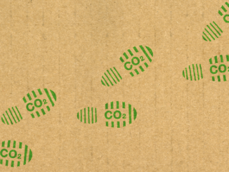 Psychologen: Keine Zukunft für den CO2-Preis in Deutschland!