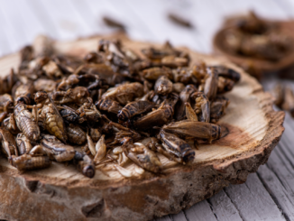 Klare Regeln für Insekten als Lebensmittel: Kennzeichnung auf dem Etikett vorgeschrieben