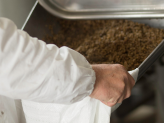 Klimafreundliche Zukunft: Erst Bier brauen, dann Energie speichern