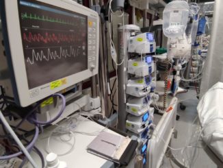 Lebendorganspende: FDP will neuen Regeln