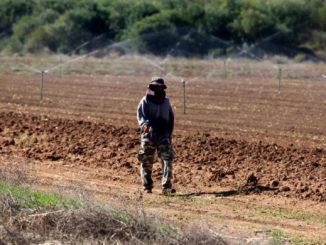 Linke fürchtet Einwanderung in prekäre Arbeitsverhältnisse
