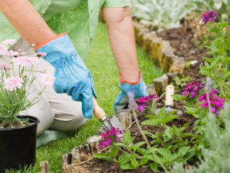 Immer wieder führt Gartenarbeit zu Streitigkeiten zwischen Vermietern und Mietern – Klare Regeln können helfen