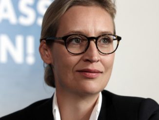 Forsa: AfD klettert auf bisher höchsten Wert auf Bundesebene