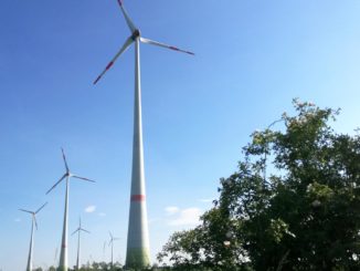 Windenergieverband kritisiert Brandenburger Denkmalschutzpläne