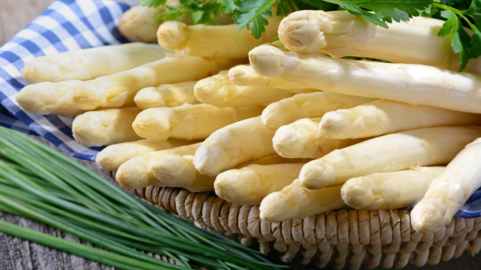 Spargel