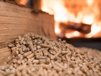 Umweltbundesamt kritisiert geplante Förderung von Holzheizungen
