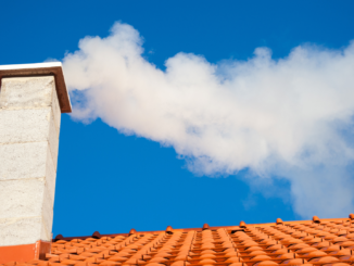 „Verkehrtes Signal“: Kritik bei Grünen zu Holzheizungen im GEG