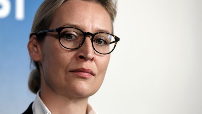 Alice Weidel (über dts Nachrichtenagentur)