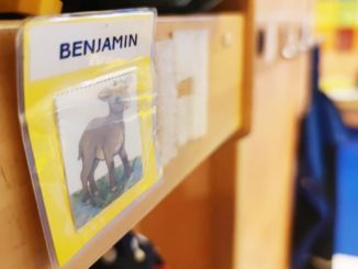 „Das ist ein Skandal“: Kinderschutzbund kritisiert fehlende Kindergrundsicherung im Haushalt „Das ist ein Skandal“: Kinderschutzbund kritisiert fehlende Kindergrundsicherung im Haushalt