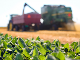 Trend zu Öko-Landbau schwächt sich ab