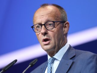 Merz wirft Grünen Beschädigung der Demokratie vor