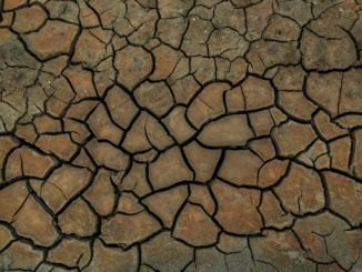 Insa: Relative Mehrheit für schnelleren Klimaschutz