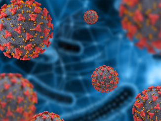 Virologin Eckerle warnt vor neuer Corona-Variante BA.2.86