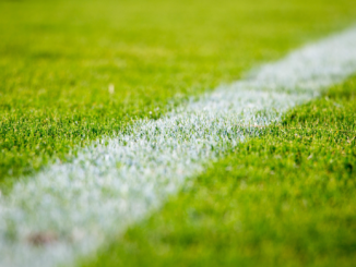 1. Bundesliga: Bayern gewinnen gegen Augsburg – Kane trifft wieder