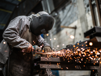 EU-Grüne warnen vor deutschem Alleingang bei „Entlastungen“ der Wirtschaft