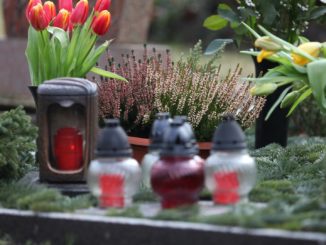Statistik: Sterbefallzahlen im Juli leicht unterdurchschnittlich Statistik: Sterbefallzahlen im Juli leicht unterdurchschnittlich