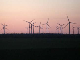 Grimm warnt vor Ausbleiben des „grünen Wirtschaftswunders“