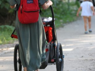 Antrag auf Kindergrundsicherung soll andere Anträge ersetzen