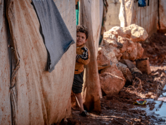 Etliche Sozialverbände fordern Kindergrundsicherung auch für Geflüchtete