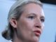 Deutliche Kritik an Weidel nach „Sommerinterview“