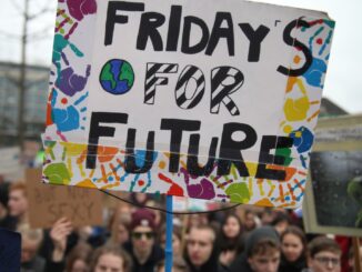 Zentralrat der Juden fordert von „Fridays for Future“ Umbenennung