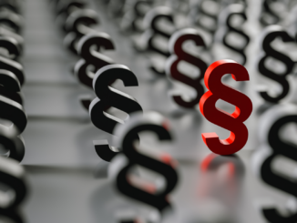 Ex-Verfassungsgerichtspräsident schlägt Grundgesetz-Änderung vor