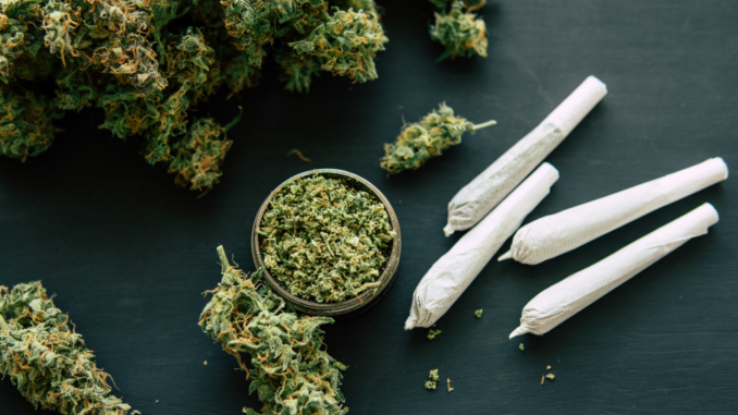 cmg_symbolbilder_ (7) Cannabis (über cozmo news)