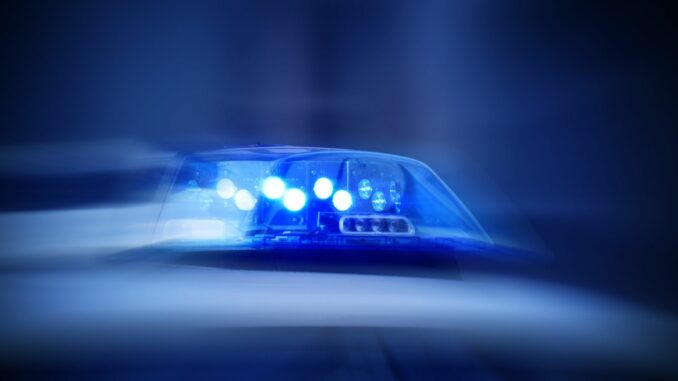 Polizei (über cozmo news)