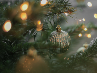 Immer weniger Online-Käufe von Weihnachtsbäumen