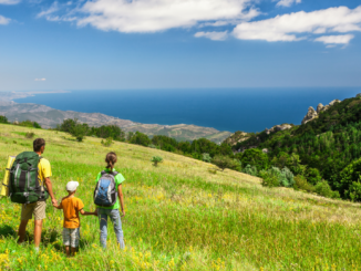 Etwas weniger Ein-Kind-Familien in Deutschland