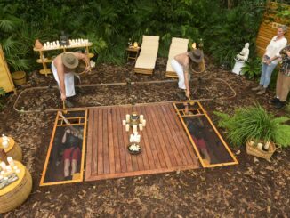 #IBES 2024: Dschungelprüfung: Zehn-Sterne-Wellness für Lucy und David 