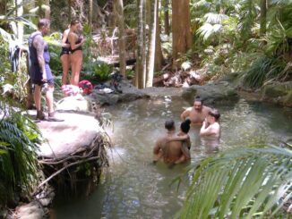 IBES 2024: Leyla und Mike auf Tuchfühlung – Kim flippt aus, heftiger Eifersuchtszoff und Anya im Dilemma IBES 2024: Leyla und Mike auf Tuchfühlung – Kim flippt aus, heftiger Eifersuchtszoff und Anya im Dilemma