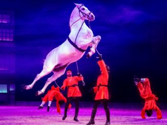 Tourhalt in Nürnberg! „CAVALLUNA – Land der Tausend Träume“: Ein fantastischer Ritt durch Asien