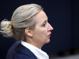 AfD: Entlassung von Weidels Referent nicht wegen Potsdamer Treffen