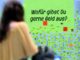 GfK meldet „herben Rückschlag“ beim Konsumklima zum Jahresbeginn